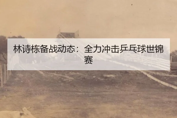 林诗栋备战动态：全力冲击乒乓球世锦赛